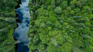 amandaschool.gnomio.com